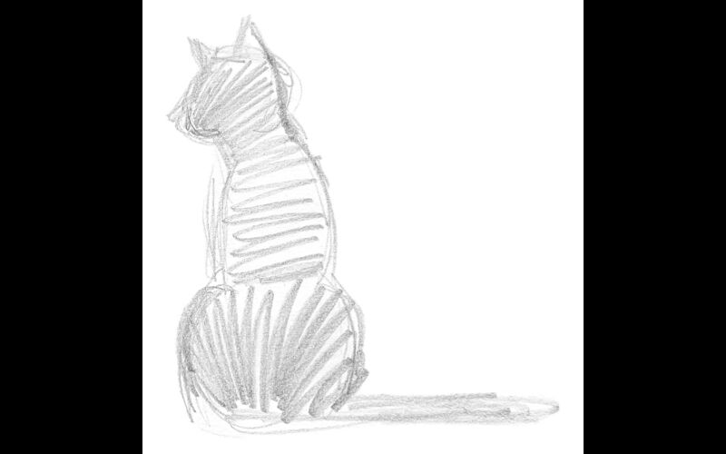 Cat sit sketch Thumbnail