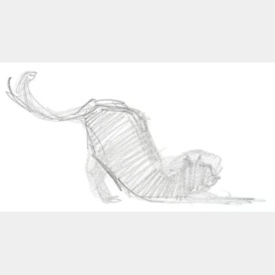 Cat stretch sketch Thumbnail