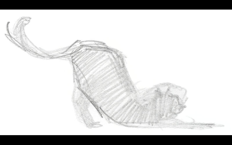 Cat stretch sketch Thumbnail